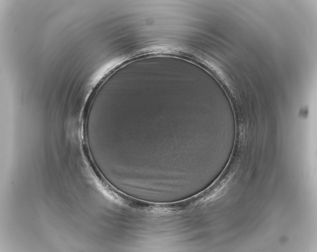 X0000093581034200710291057