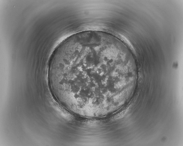 X0000093581035200710291057