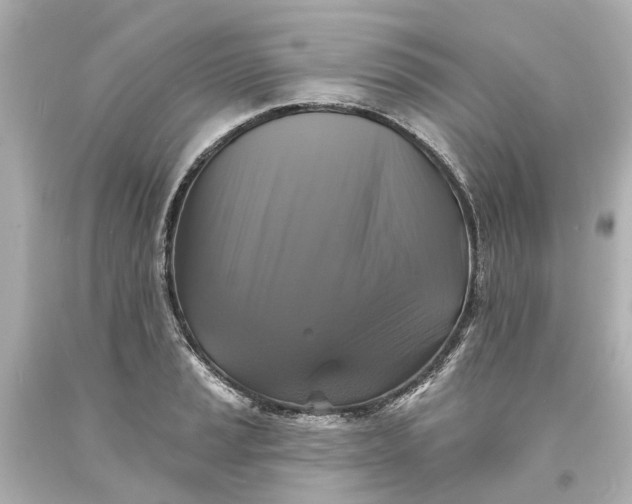 X0000093581037200710291057