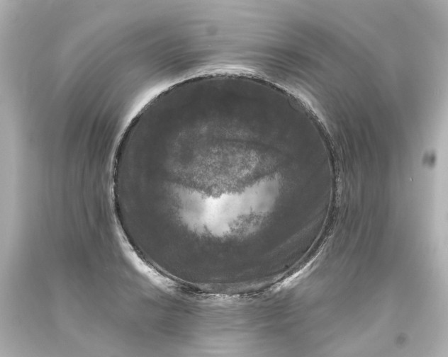 X0000093581038200710291057