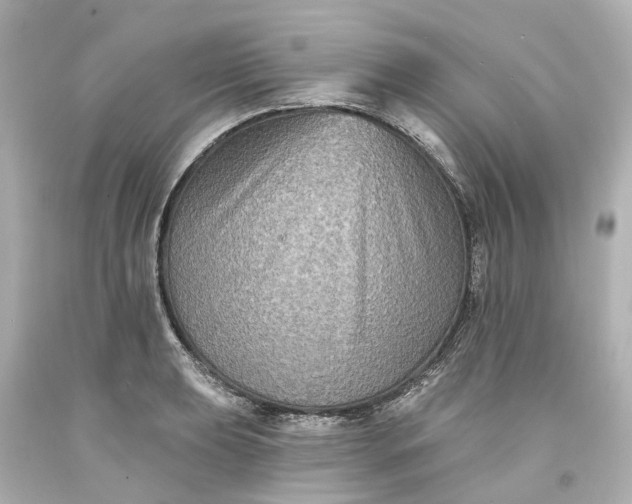 X0000093581039200710291057