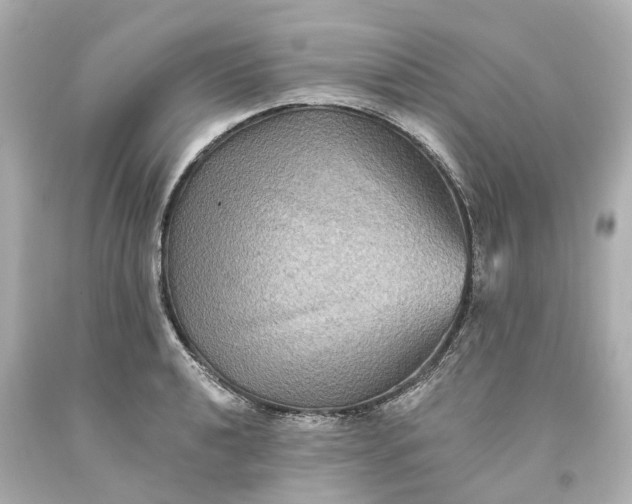 X0000093581040200710291057