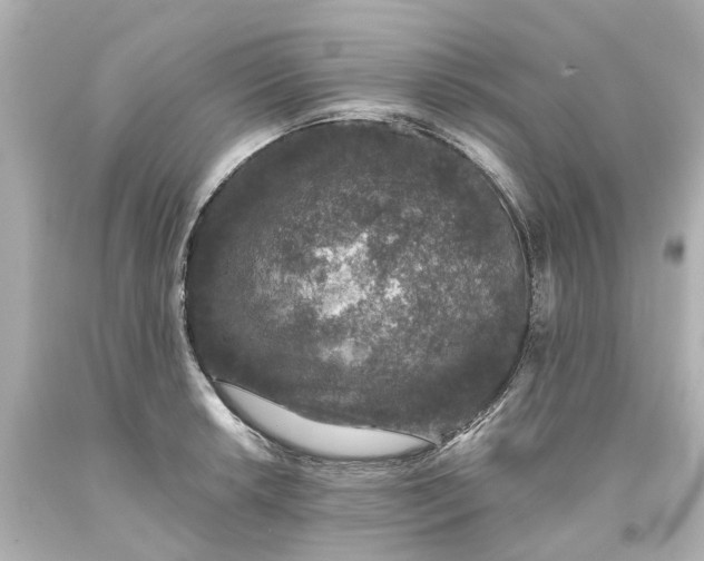 X0000093581042200710291057