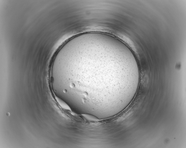 X0000093581043200710291057