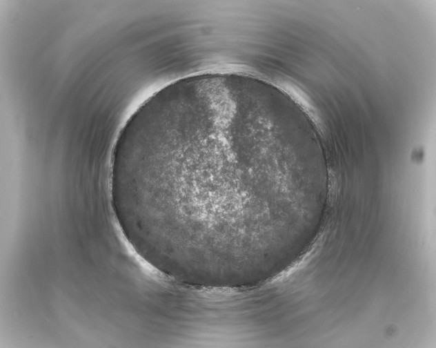 X0000093581046200710291057