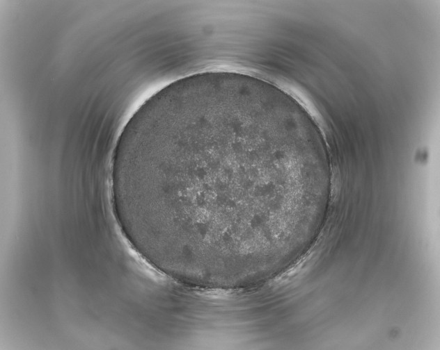 X0000093581048200710291057