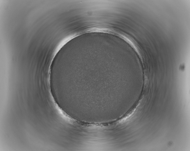 X0000093581050200710291057