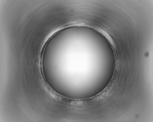 X0000093581051200710291057