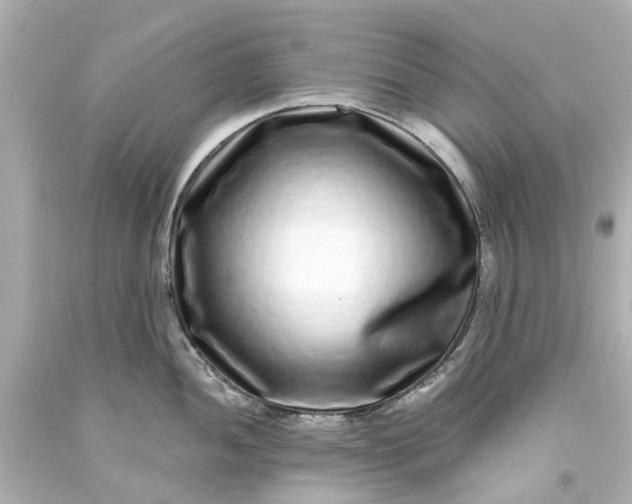 X0000093581052200710291057