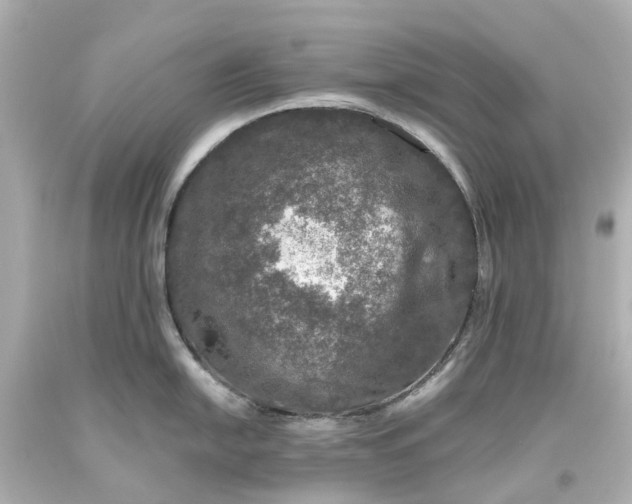 X0000093581054200710291057