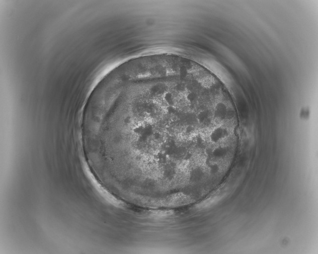 X0000093581055200710291057