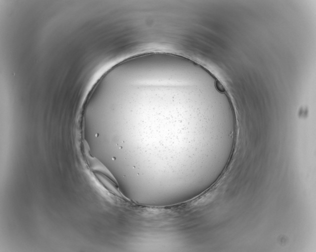 X0000093581056200710291057