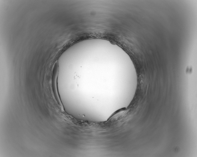 X0000093581057200710291056