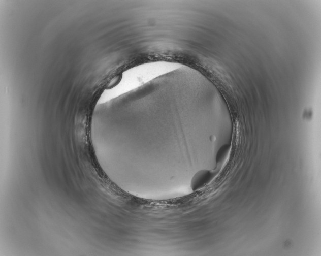 X0000093581060200710291056