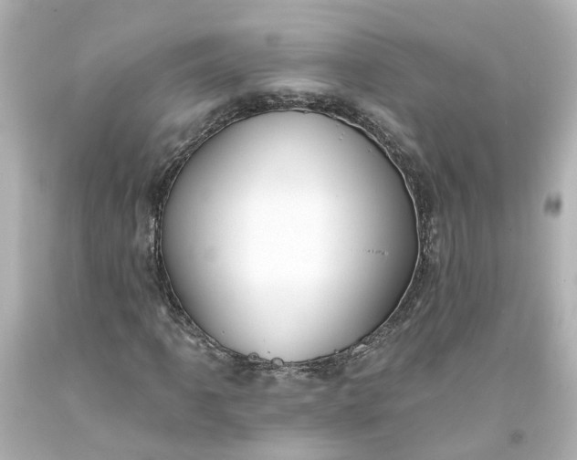 X0000093581061200710291056