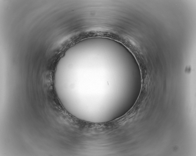 X0000093581062200710291056