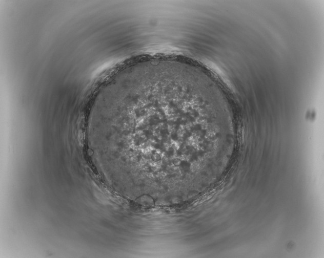 X0000093581063200710291056