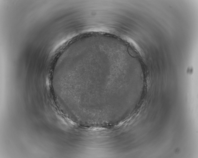 X0000093581064200710291056