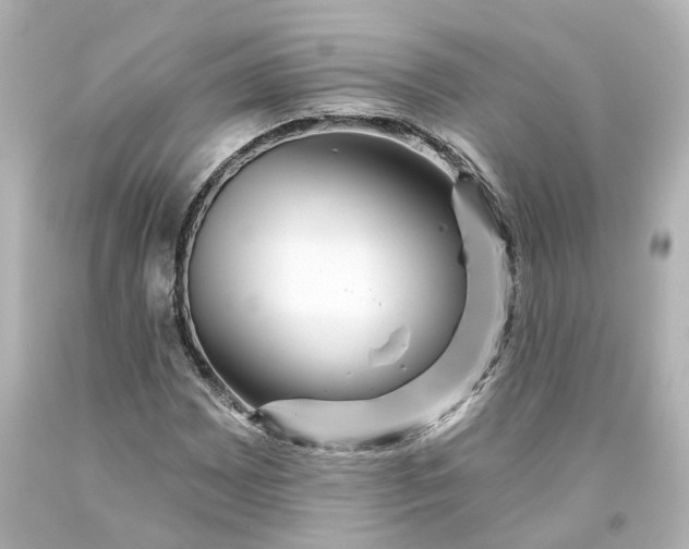 X0000093581065200710291056