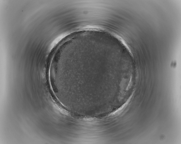 X0000093581066200710291056