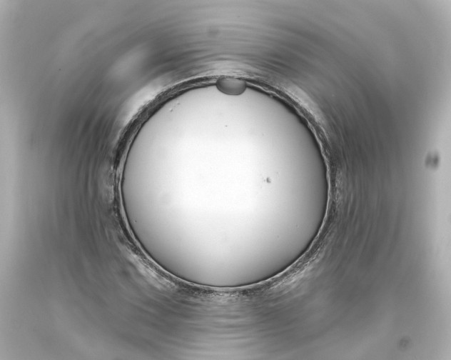 X0000093581067200710291056