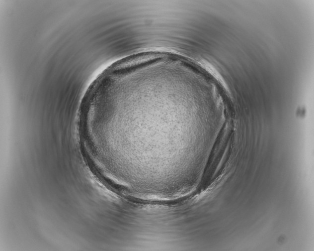 X0000093581068200710291056