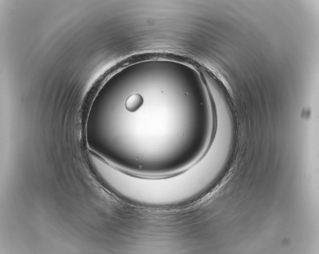 X0000093581069200710291056