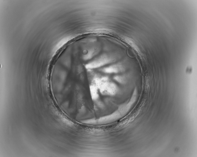 X0000093581071200710291056