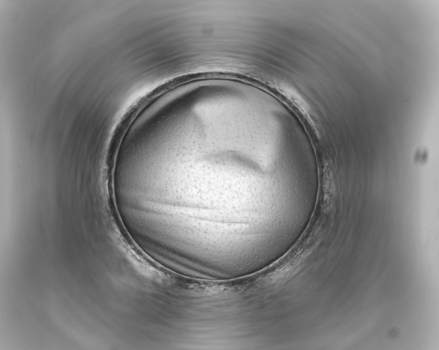 X0000093581072200710291056