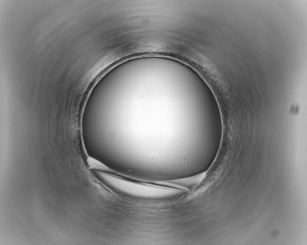 X0000093581073200710291056