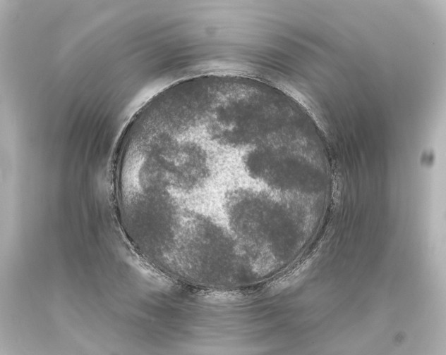 X0000093581074200710291056