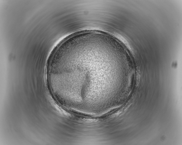 X0000093581076200710291056