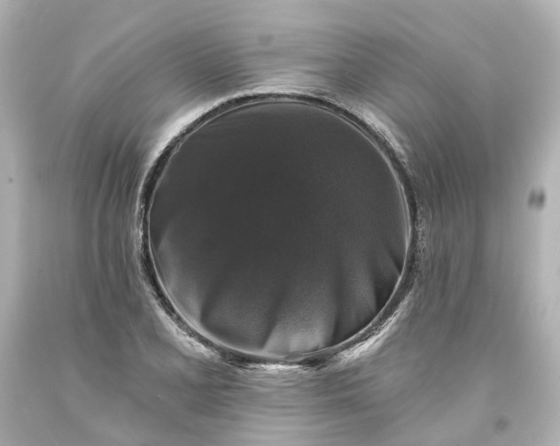 X0000093581077200710291056