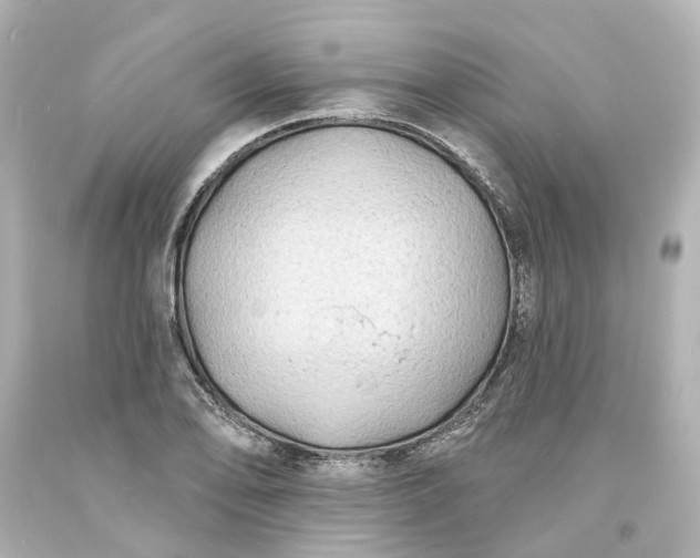 X0000093581078200710291056