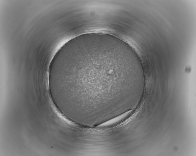 X0000093581079200710291056