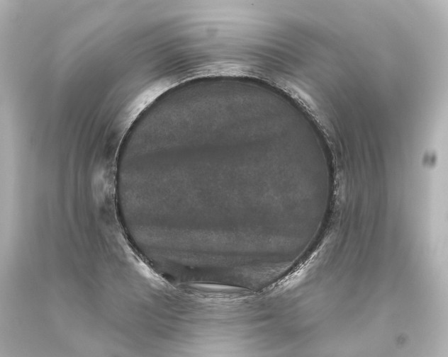 X0000093581081200710291056