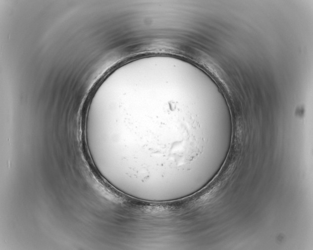 X0000093581082200710291056