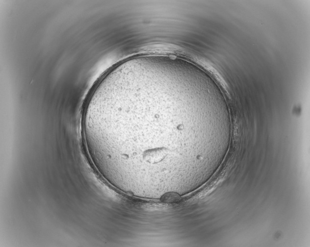 X0000093581083200710291056