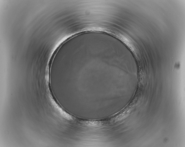 X0000093581084200710291056