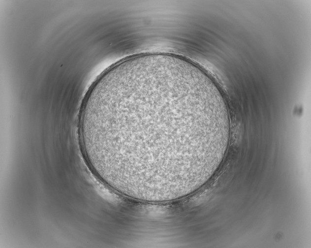 X0000093581086200710291056