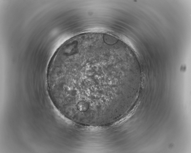 X0000093581087200710291056