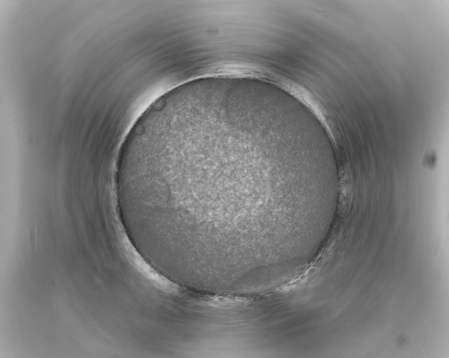 X0000093581091200710291056