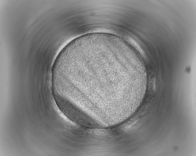 X0000093581092200710291056