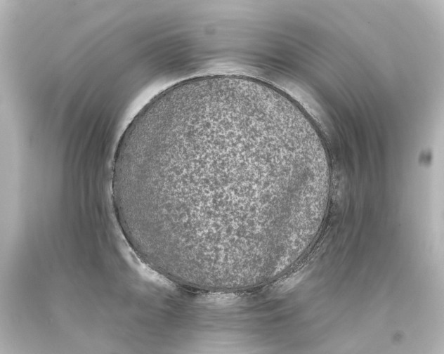 X0000093581094200710291056