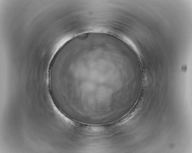 X0000093581095200710291056