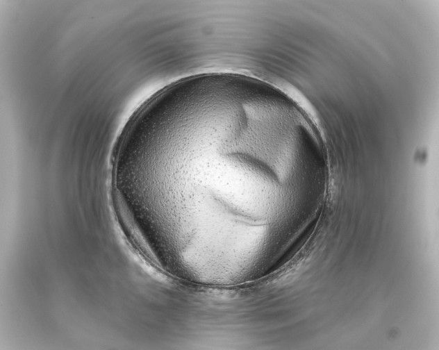 X0000093581096200710291056