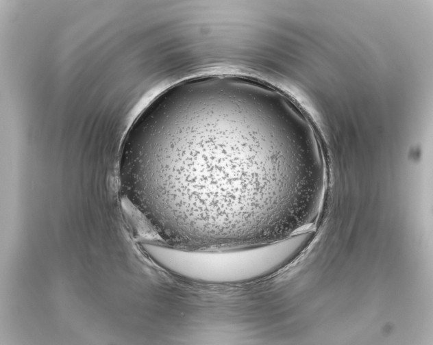 X0000093581097200710291056