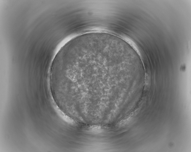 X0000093581098200710291056