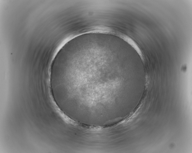 X0000093581099200710291056