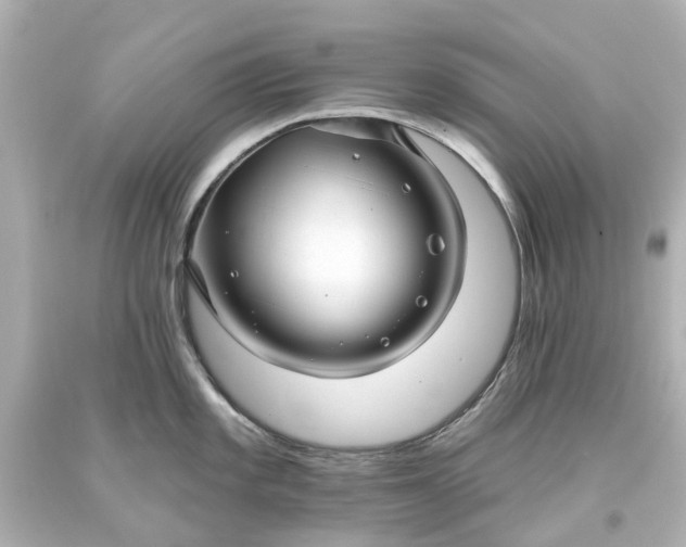 X0000093581101200710291056